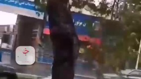 سقوط درخت روی پژو در پی طوفان امروز گرگان