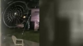 تایم‌ لپس بافت تار عنکبوت !