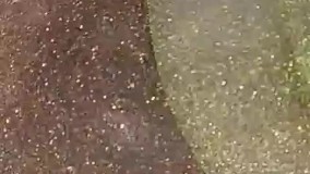 دستگاه مخمل پاشی  و چندکاربره09361429205