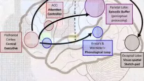 بازی آنلاین حافظه - تقویت حافظه فعال (Working Memory)