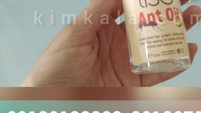 روغن مورچه چیست؟ /09120132883/خواص روغن مورچه