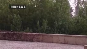 تصاویری از بارش تگرگ در تهران