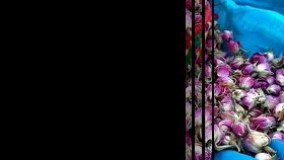 دستگاه خشک کن میوه و سبزی / اموزش خشک کردن چیپس میوه