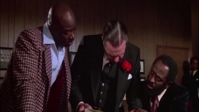 مثل راکی باش