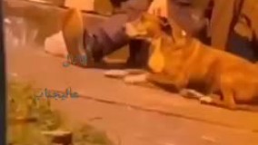 جشن تولد تلخ یک بی‌خانمان ، وسط خیابان