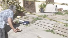 سگ با وفای خبرنگار کشته‌ شده هنوز منتظر اوست !