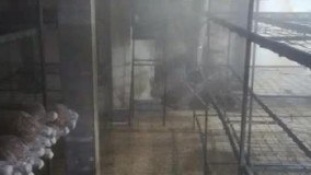 مهپاش پروانه ای | رطوبت ساز صنعتی09910153884