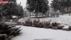 آغاز بارش برف در تهران