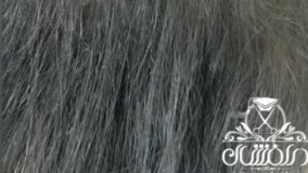 آموزش حرفه ای میکروبلید در رباط کریم