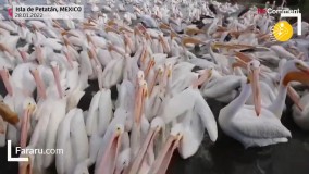 جاذبه جذاب و دیدنیِ گردشگری یک روستا