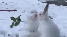 یک صحنه برفی زیبا از سپیدان در استان فارس