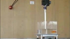 انندگی ماهی قرمز با آکواریوم رباتیک !