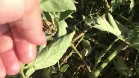 آنباکس و تجربه خرید