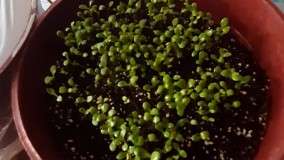 آنباکس و تجربه خرید