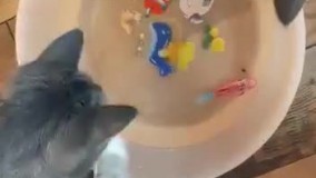 آنباکس و تجربه خرید