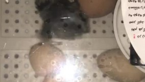 آنباکس و تجربه خرید