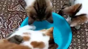 آنباکس و تجربه خرید