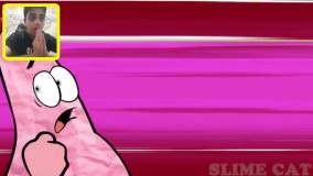 باب اسفنجی جدید