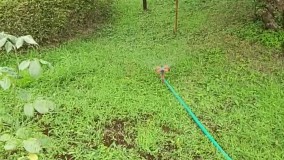 آنباکس و تجربه خرید