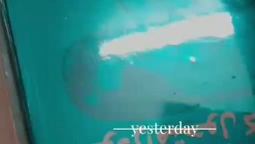 آنباکس و تجربه خرید