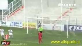 کاشته های نمایشی