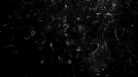 تصاویری از یک انقلاب شگفت‌انگیز در علم پزشکی