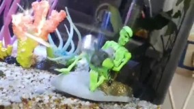 آنباکس و تجربه خرید