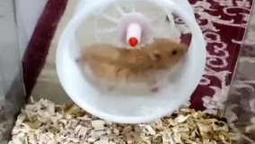 آنباکس و تجربه خرید