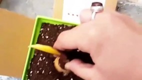 آنباکس و تجربه خرید