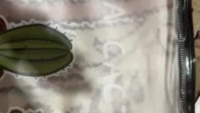 آنباکس و تجربه خرید