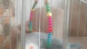 آنباکس و تجربه خرید