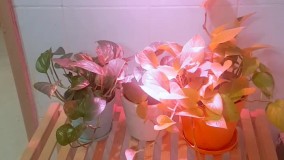 آنباکس و تجربه خرید