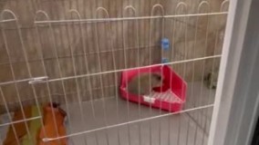 آنباکس و تجربه خرید