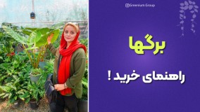 راهکاری ساده برای انتخاب گیاه ( خرید گیاهان آپارتمانی )