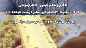 دوره آموزش پرورش مگس سرباز سیاه BSFL