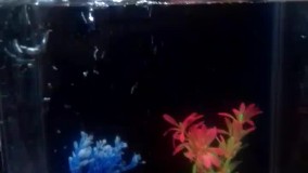 آنباکس و تجربه خرید