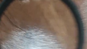 آنباکس و تجربه خرید