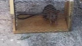 آنباکس و تجربه خرید