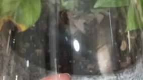 آنباکس و تجربه خرید