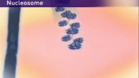 انیمیشن ژنتیک آموزشی + تهیه پکیج ژنتیک تضمینی!!!09044686613