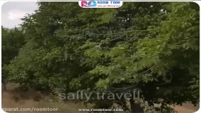 سفرنامه جاسب؛ منطقه ای کوهستانی در شمال استان مرکزی - مجله گردشگری روم تور