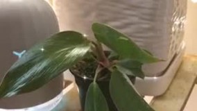 آنباکس و تجربه خرید