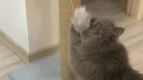 آنباکس و تجربه خرید