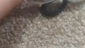 آنباکس و تجربه خرید