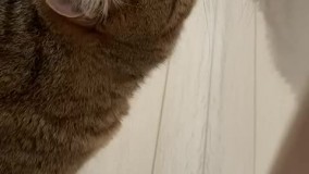 آنباکس و تجربه خرید