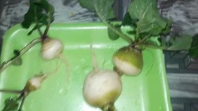 آنباکس و تجربه خرید