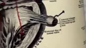 آنباکس و تجربه خرید