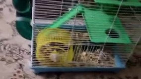 آنباکس و تجربه خرید