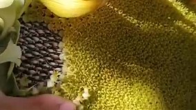 آنباکس و تجربه خرید