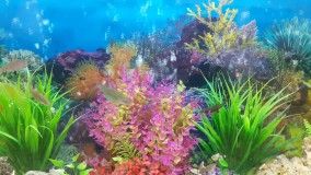 آنباکس و تجربه خرید